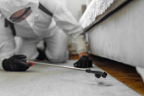 Professional Bed Bug Control technician working in Rosaryville, MD
